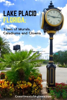 there is a large clock on the side of the road in front of flowers and trees