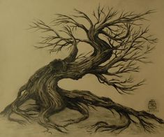 a drawing of a tree with no leaves