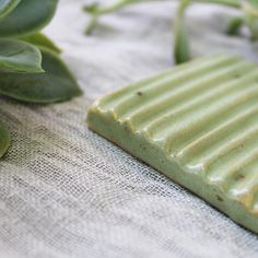 a piece of green clay sitting on top of a table next to some plant life