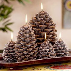 pine cones are arranged on a tray with lit candles