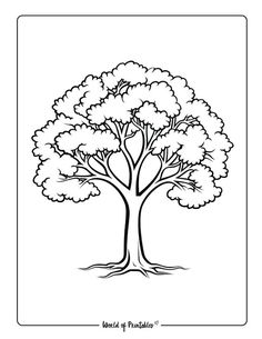 a tree with leaves and branches coloring page