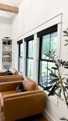 a living room filled with brown leather furniture