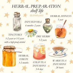 Familiarize yourself with these shelf life dates before you jump in.  #herbs #wellness #health #tips #holistic #remedies #herbalism #shelflife #safety Cold Herbal Remedies, Holistic Remedies For Cold, Holistic Health Tips, Spiritual Herbalism, Herbal Cold Remedies, Herb Remedies, Herbal Witch, Herbal Education, Diy Herbal Remedies