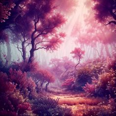 an image of a forest scene with sunlight coming through the trees and flowers on the ground