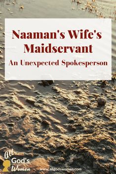 a book cover with the title namman's wife's maidservant an unexpected