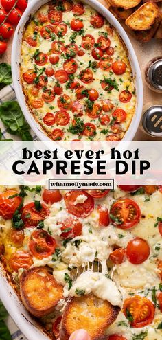 the best ever rota caprese dip is made with fresh tomatoes and cheese