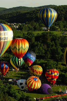 many colorful hot air balloons flying over a lush green hillside covered in trees and greenery