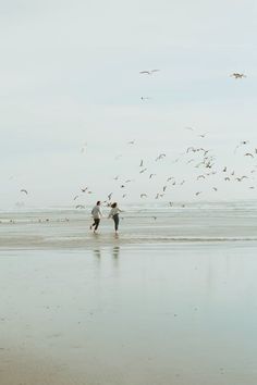 two people walking on the beach with seagulls flying overhead