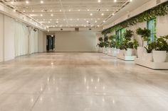 an empty room with potted plants in it