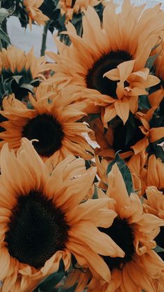 a bunch of sunflowers that are in a vase