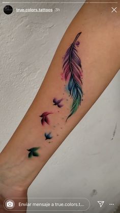 a colorful feather tattoo on the arm