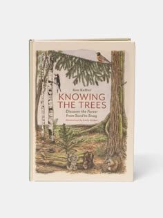 Knowing the Trees by Ken Keffer - Articles In Common Botany Books, Types Of Forests, Nature Books, Nature School, Tree Species, Homeschool Education, Book Writing Inspiration, Book Suggestions, Page Turner