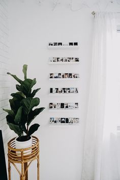 a potted plant sitting on top of a wooden table next to a white wall