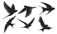 black and white silhouettes of birds flying