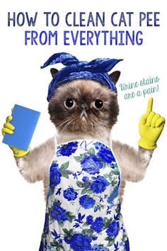 a cat wearing a blue dress and yellow gloves with the caption how to clean cat pee from everything