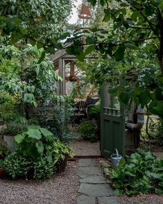 a garden with lots of green plants and trees in it's back yard, next to a shed