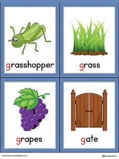 four cards with pictures of grasshoppers, grapes and gate