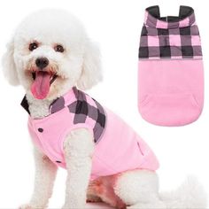 a white dog wearing a pink shirt with black checkers on it's chest