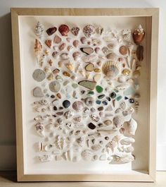 a shadow box with sea shells and seashells on the bottom, in front of a white wall