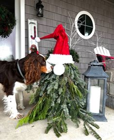 a dog standing next to a christmas tree on the front porch with a santa hat on