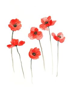 watercolor painting of red poppies on white paper