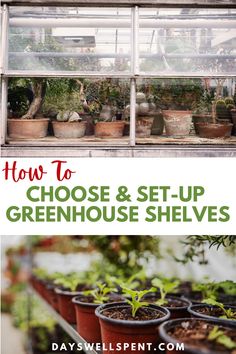 how to choose and set up greenhouse shelves