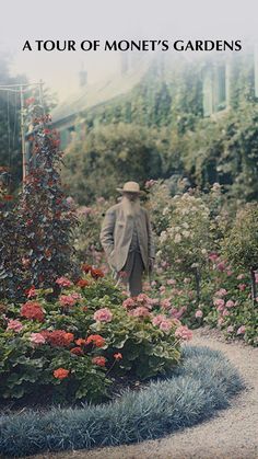 a man in a suit and hat walking through a garden with lots of colorful flowers