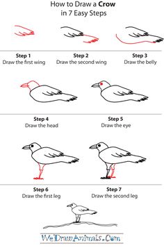 how to draw a seagull in 7 easy steps step by step instructions for beginners