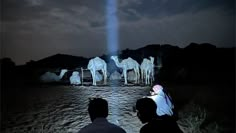 three people standing in front of a group of camels with a light beam above them