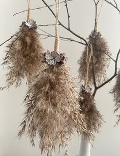 dried flowers hang from branches in a vase