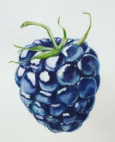 a painting of a blue berry with green leaves