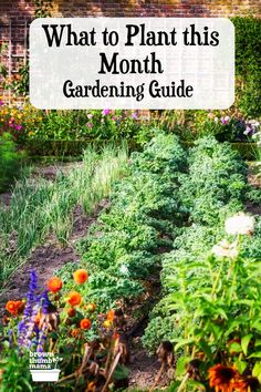 What to Plant this Month Gardening Guide Vegetables To Plant, Gardening Guide, When To Plant, Hardiness Zones