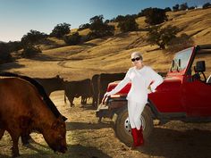 a woman in white is standing next to some cows