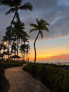 a pathway leading to the beach with palm trees on either side at sunset or dawn