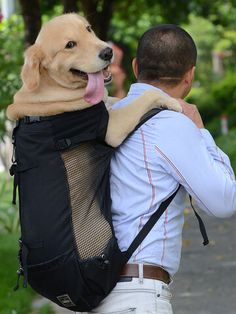 a man with a dog in his back pack walking down the street while another person holds him