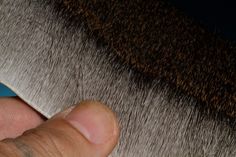 a close up of a person's hand holding a cat tail