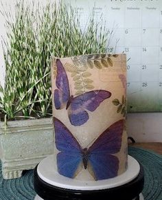 a cake decorated with purple butterflies on top of a table next to a potted plant