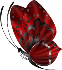 a red and black butterfly with dots on it's wings