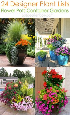 four different flower pots with flowers in them and the words, 24 designer plant lists