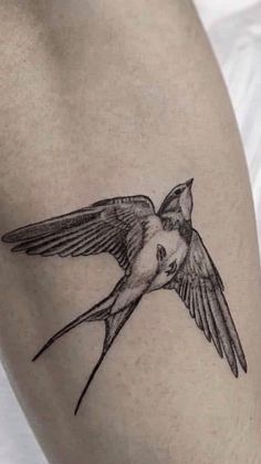 a small bird tattoo on the right thigh