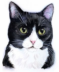 a black and white cat with green eyes is shown in this watercolor painting style