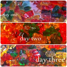 three different types of gummy bears with the words day two and day three on them