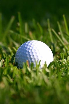 a white golf ball sitting in the grass