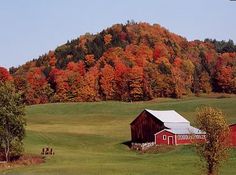 the farm is surrounded by trees with fall colors in the background and an image of a red barn