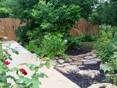 a garden with lots of plants and rocks