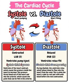 the cardiac cycle and systole vs diastole heart pumps diagram