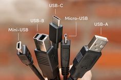 a close up of many different types of cables in a person's hand with labeled parts