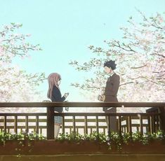 an anime scene with two people standing on a bridge and looking at each other in front of cherry blossom trees