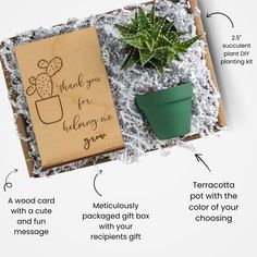 the instructions for making a thank card with a succulent and potted plant