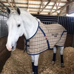 a white horse wearing a blanket standing in hay